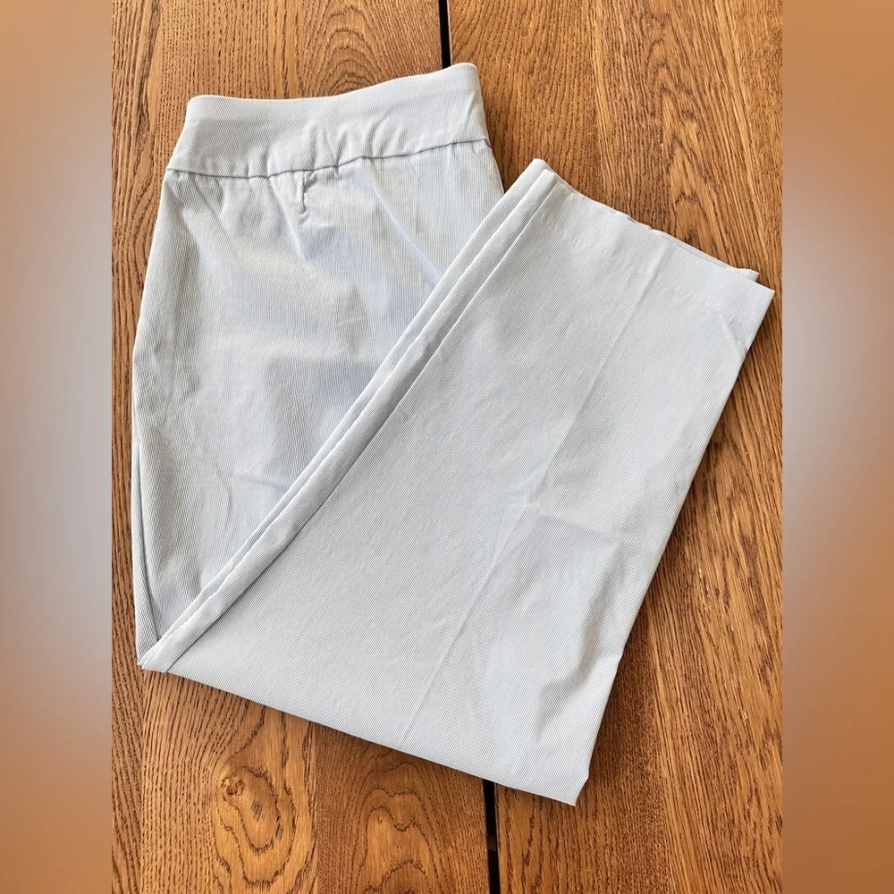 NWT. Premise Striped Light Blue Capri Pants Tommy Control 2X - Picture 4 of 11